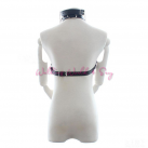 Костюм БДСМ. Зажимы для сосков, кляп с кольцом. photo 1