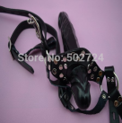 Кляп с двойным фаллоимитатором. photo 1