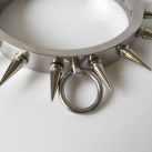 Ошейник с кольцом. Металл. photo 6