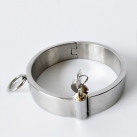 Ошейник из нержавеющей стали с замком photo 5