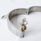 Ошейник из нержавеющей стали с замком photo 3