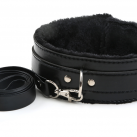 Воротник с поводком фиолетовый photo 1