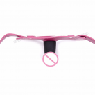 Кляп с фаллоимитатором photo 5