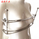 Зажимы для сосков. Нержавеющая сталь. С замком. photo 2