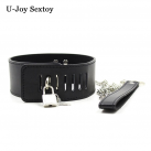 Кожаный ошейник с поводком photo 4