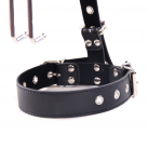 Ошейник с крючками для носа. photo 4