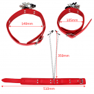 Ошейник IKOKY с зажимами для сосков photo 1