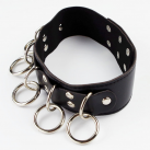 Воротник с кольцами БДСМ photo 4