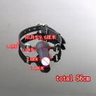 Кляп с фаллоимитатором photo 1