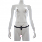 Зажимы для груди и вагины photo 3