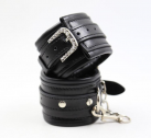 Секс набор для игр. Ошейник с поводком, манжеты, перо. photo 6