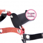 Кляп с фаллоимитатором. photo 3