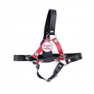 Кляп с фаллоимитатором. photo 1