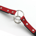 Кляп с двойным кольцом. photo 5