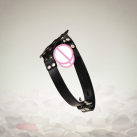 Кляп с фаллоимитатором. photo 1