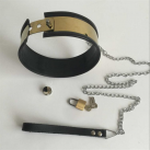 Ошейник с поводком. С замочком. photo 5