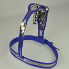 Пояс целомудрия мужской с анальной пробкой photo 6