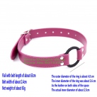 Кляп с кольцом. Искусственная кожа. photo 5