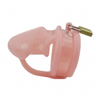 Пояс целомудрия для мужчин photo 3