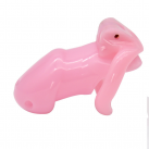 Устройства для блокировки пениса photo 3