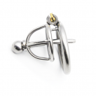 Пояс верности для мужчин. Нержавеющая сталь. С замком. Катетер для массажа уретры. photo 2