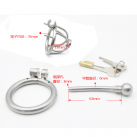 Пояс верности для мужчин. Нержавеющая сталь. С замком. Катетер для массажа уретры. photo 1