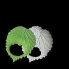 Силиконовое эрекционное кольцо  photo 1