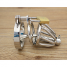 Пояс верности для мужчин. Нержавеющая сталь. С замком. С катетером для стимуляции уретры. photo 6