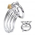 Пояс верности для мужчин. Нержавеющая сталь. С замком. photo 5