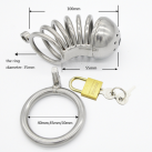 Пояс верности для мужчин. Нержавеющая сталь. С замком. photo 3