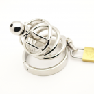 Пояс верности для мужчин. Нержавеющая сталь. С замком. С катетером для стимуляции уретры. photo 2