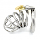 Пояс верности для мужчин. Нержавеющая сталь. С замком. photo 3