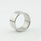 Кольцо на пенис из нержавеющей стали photo 2