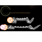 Насадка на пенис с кольцами 2-х цветов photo 3