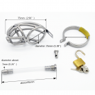 Пояс верности для мужчин. Нержавеющая сталь. С замком. С катетером для стимуляции уретры. photo 3
