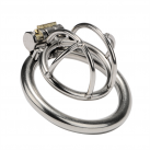 Пояс целомудрия с кольцом на пенис photo 3