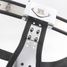 Мужской Пояс Верности 4-х типов photo 4