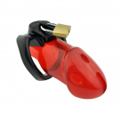 Пояс верности для мужчин. С замком. photo 4