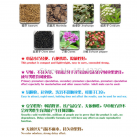 Влажные салфетки для задержки эякуляции на 60 минут photo 1