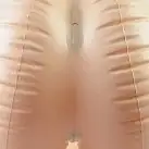 Кукла TERA HEART HIGH NOON DOLL   photo 3