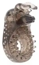 Насадка с вибратором EL TORRO photo 3