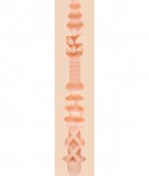 Мастурбатор Fleshlight Girls: Nikki Benz Reign (SIGNATURE COLLECTION) photo 4