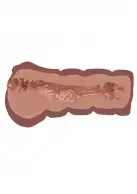 Hidden Desire Bangers Super Wet Travel Beaver - реалистичный мастурбатор, коричневый photo 3