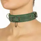 Ошейник LOVECRAFT размер S зеленый photo 3