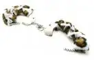 Наручники FURRY CUFFS - LEOPARD   photo 2