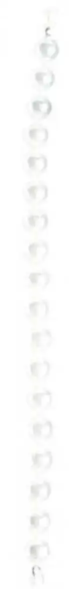 Украшение на соски CLEOPATRA NIPPLE PEARL METALIC   photo 2