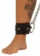 Цепь фиксирующая photo 2