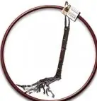 Супер набор ULTIMATE FANTASY DUFFEL BAG photo 17